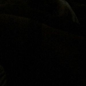 Meet your Posher, Lily